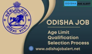 Odisha Collector Office Recruitment 2024