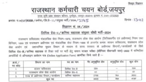 RSMSSB LDC and Junior Assistant Recruitment 2024