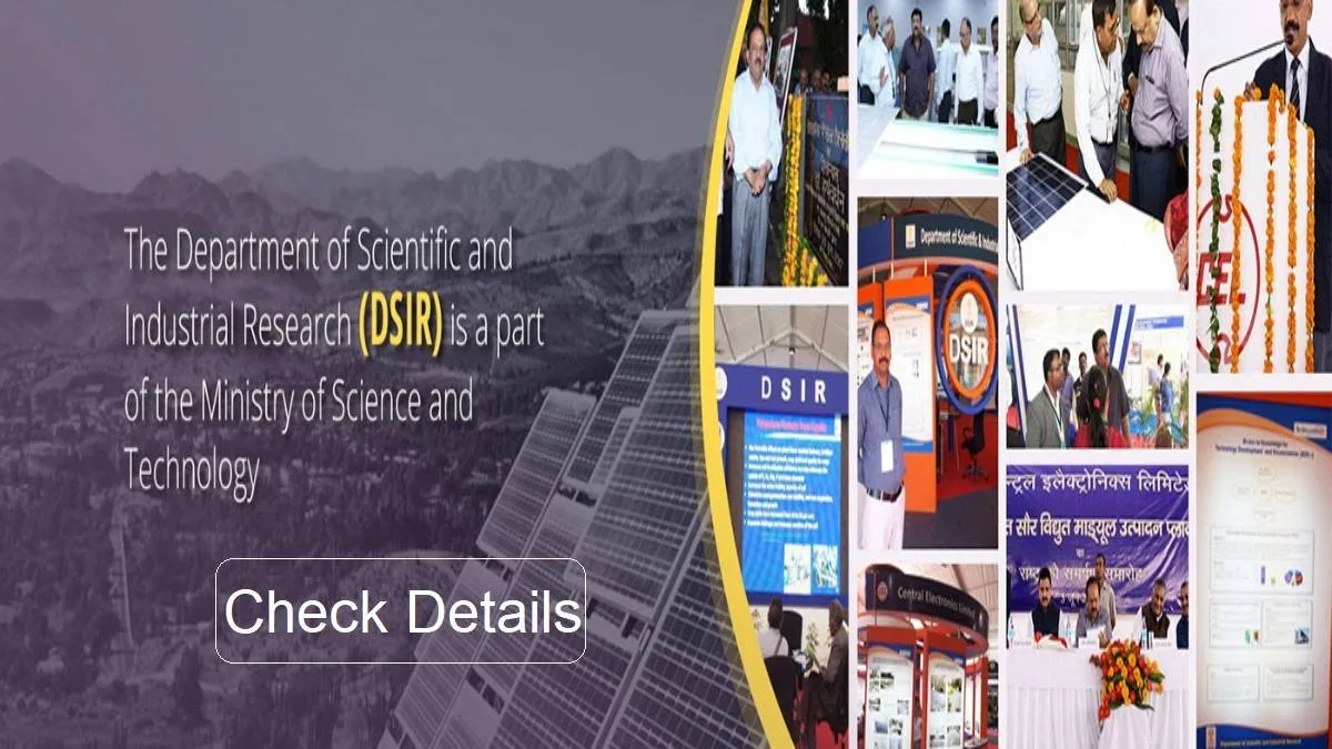 RSMSSB JTA & Account Assistant Recruitment 2025 Apply Online 2600 Posts