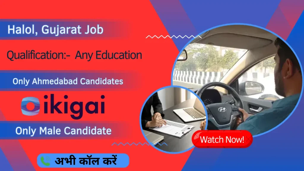 IKIGAI Technical Solution Company 2025