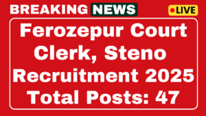 Ferozepur Court Clerk Recruitment 2025