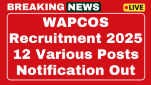 WAPCOS Team Leader, JE Recruitment 2025