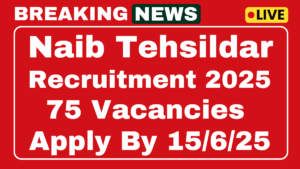 JKSSB Naib Tehsildar Recruitment 2025