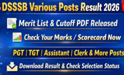 DSSSB Various Posts Result 2026 Download Merit List & Cutoff PDF, Check Marks - PunjabJobAlert.com
