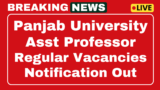Assistant Professor Recruitment of Punjab University 2025 now 83 posts for application
