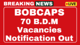 Bobcaps Business Development Manager Recruitment 2025 Apply for 70 Vacancies