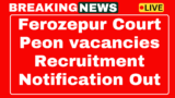 Ferozepur District Court Peon Recruitment 2025 – Now apply for peon posts