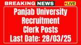 Punjab University Clerk Recruitment 2025 Application Form 02 Post